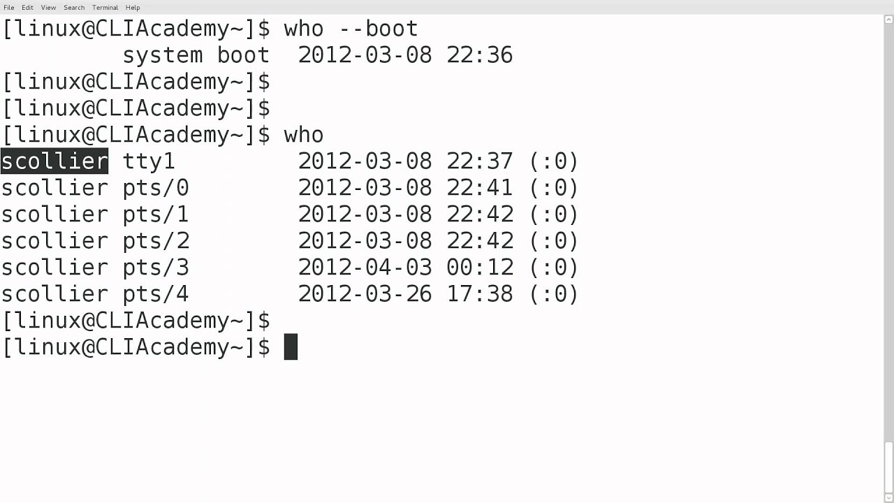 Linux who command