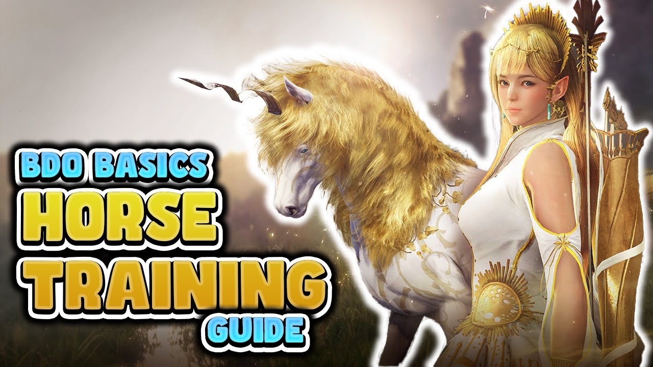2024 Horse Training Guide for Black Desert Online | BDO Basics