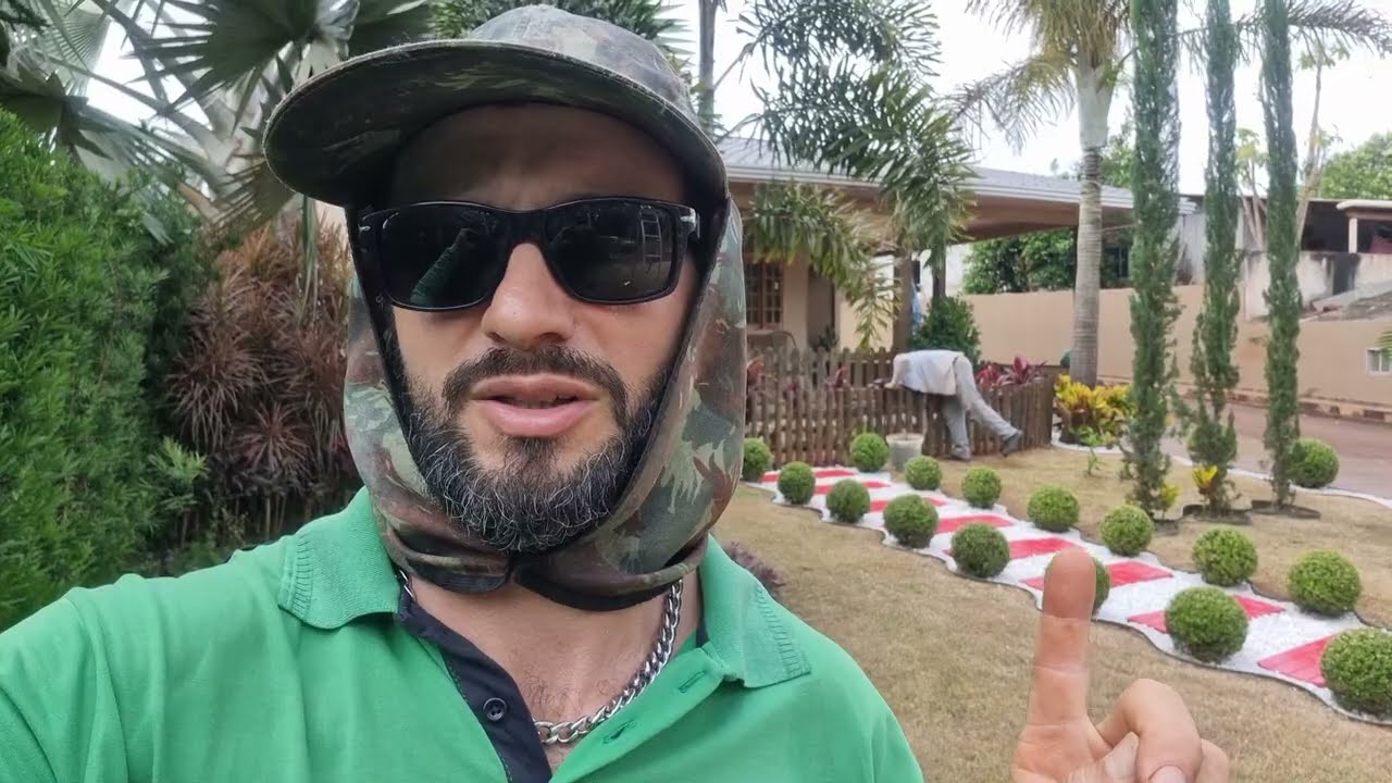 Como fazer poda de limpeza, e poda de condução nos podocarpus?