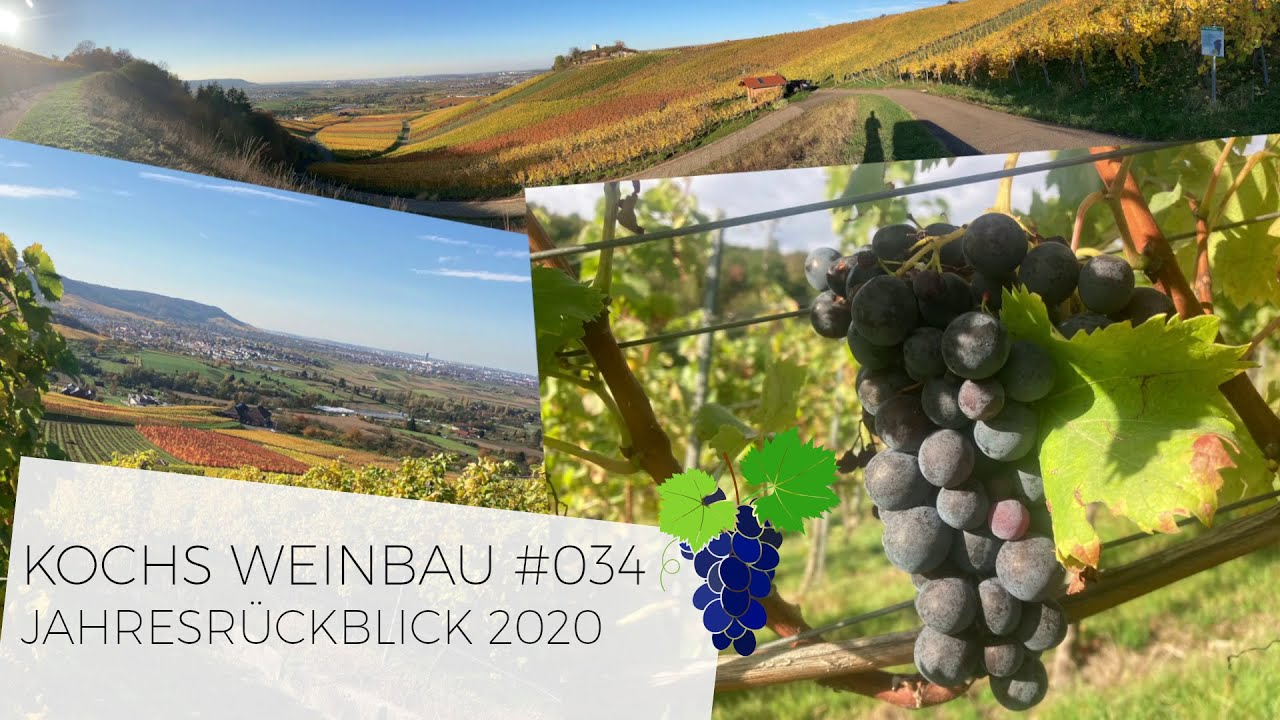 JAHRESRÜCKBLICK 2020 | #034