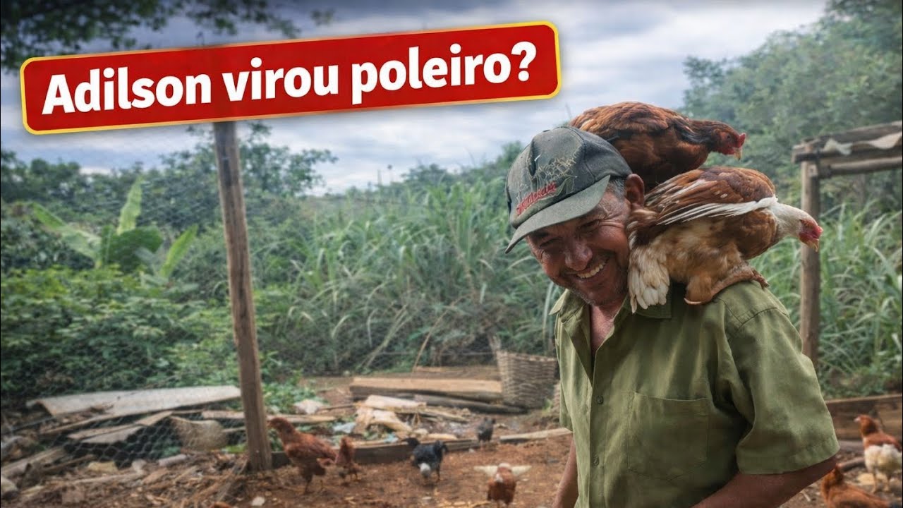 ADILSON FELIZ COM SEU GALINHEIRO🐓🐥