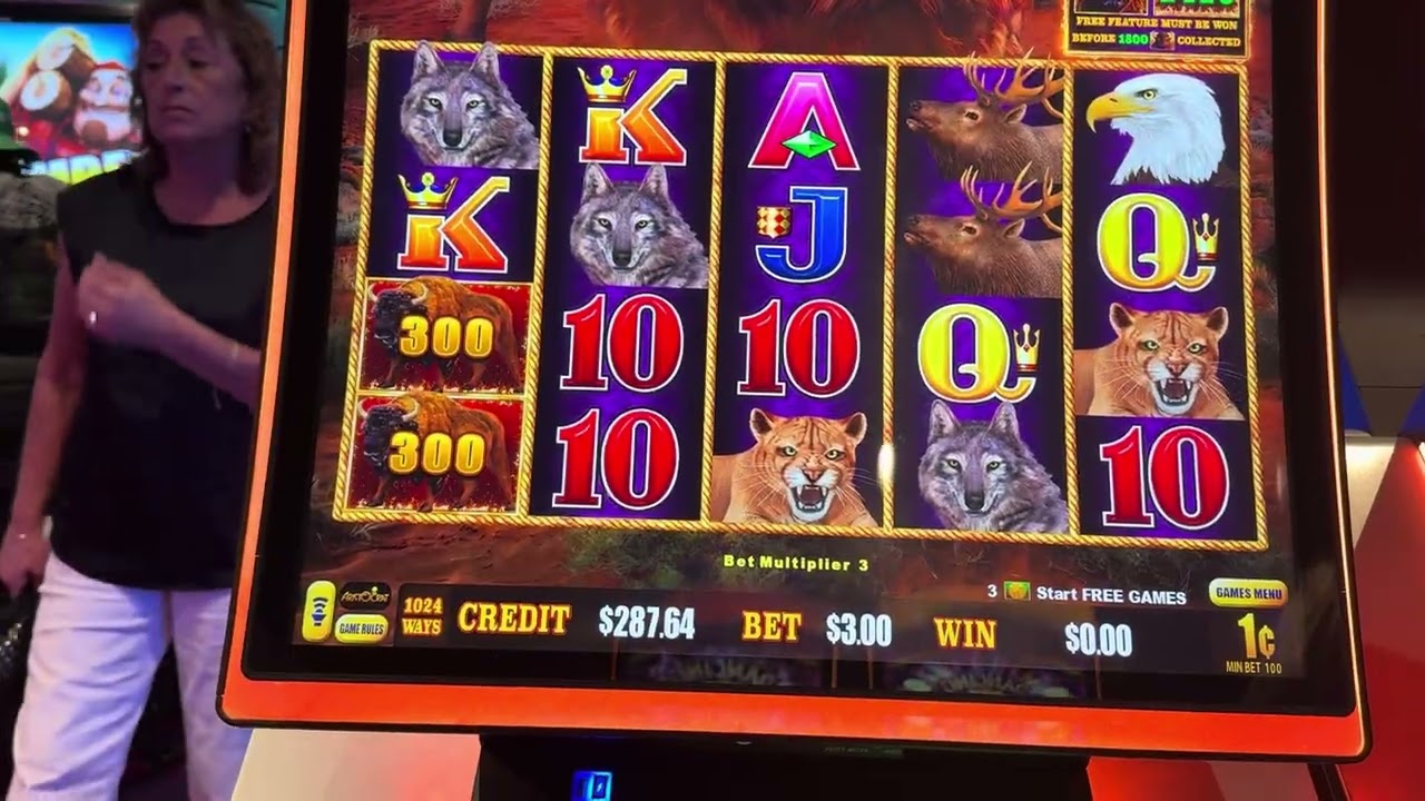 Back to Back Bonuses & Big Wins! Buffalo Link 🦬 Carnival Vista Casino!