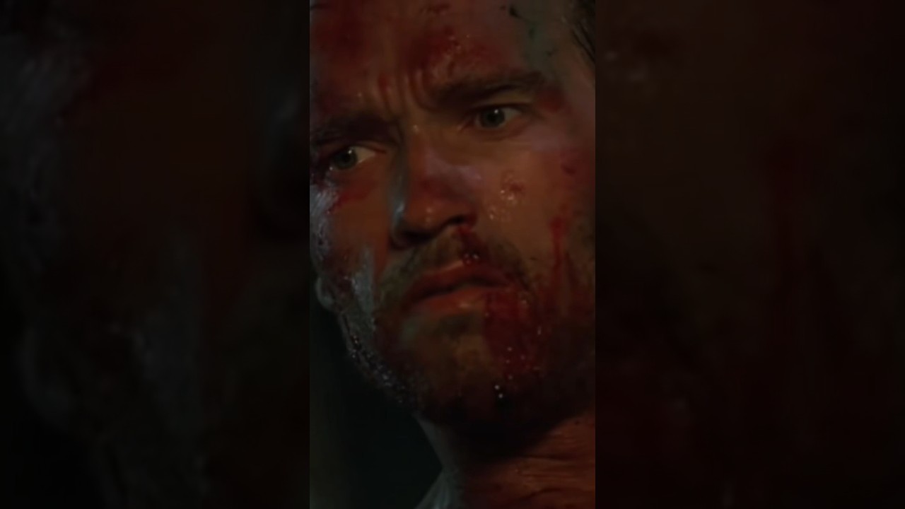 Dutch finds out SpongeBob is? 