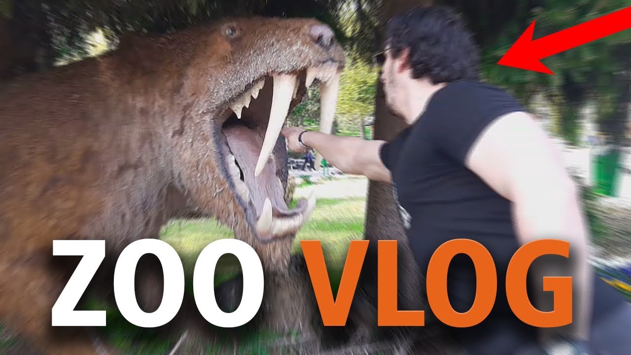 BOSANAC U ZOOLOŠKOM VRTU!!!