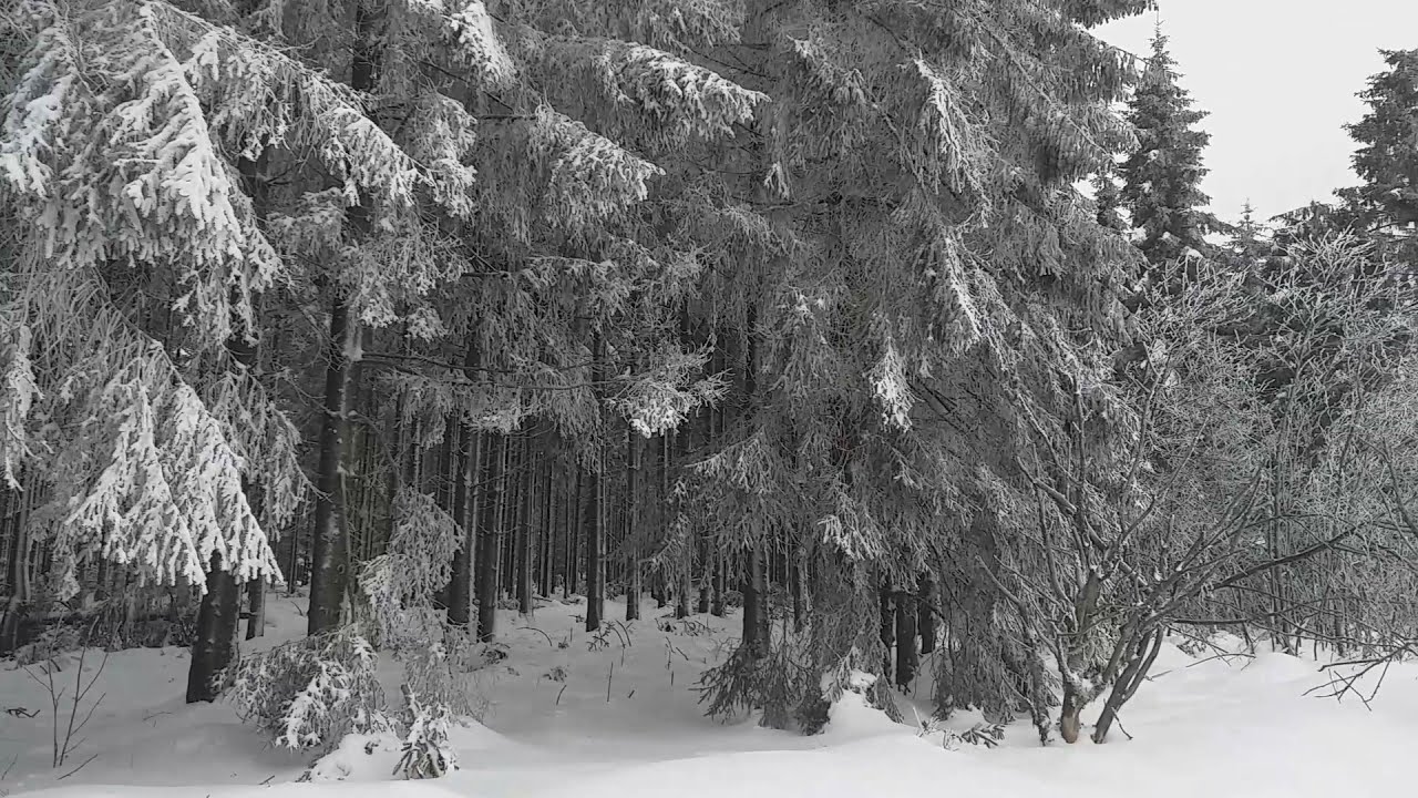 Balade  en Hautes Fagnes -Belgique Avec Neige En période de Covid