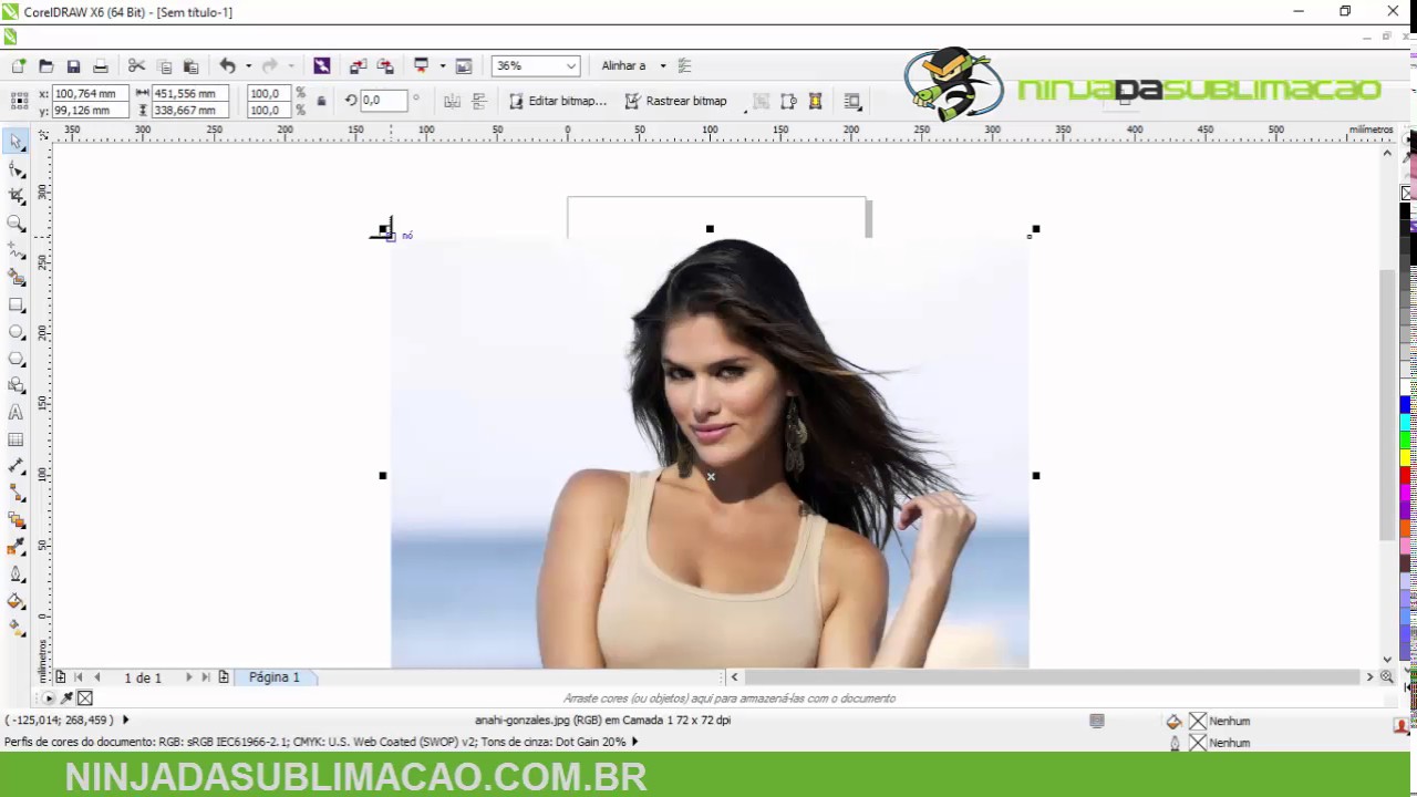 Sublimação | Como Saber a  Resolução da Imagem no Corel Draw
