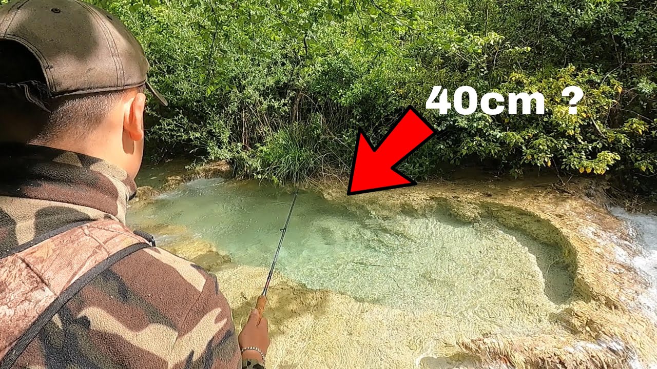 GROSSES TRUITES dans un petit RUISSEAU calcaire encombré - Pêche en NO-KILL