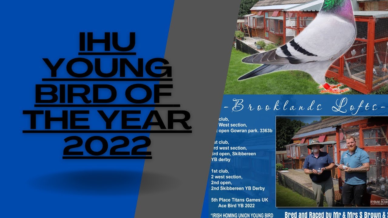 IHU Young Bird Of The Year 2022