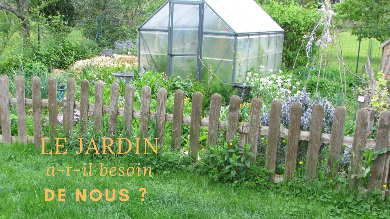🍓 Avril-Mai, Jardin spontané ;)