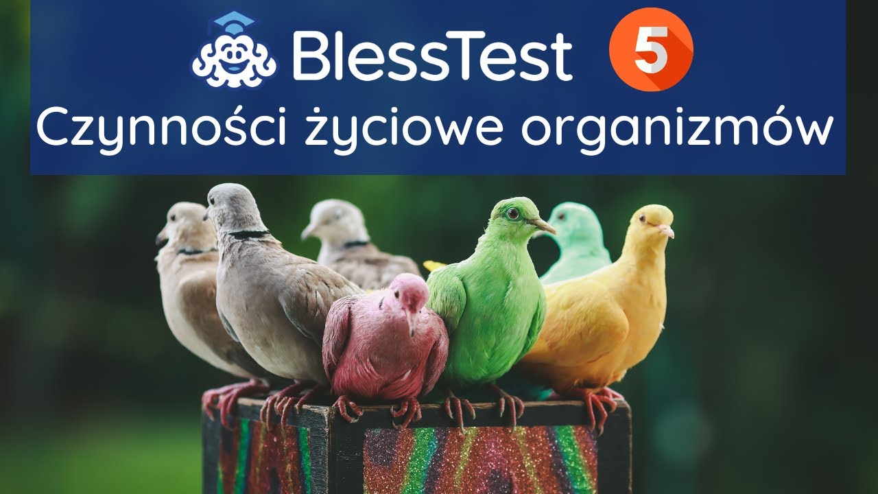 Czynności życiowe organizmów