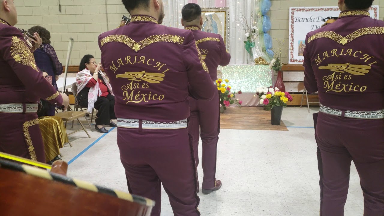 La Guadalupana/Versión/Mariachi/Cover/#laguadalupana/214-414-8169