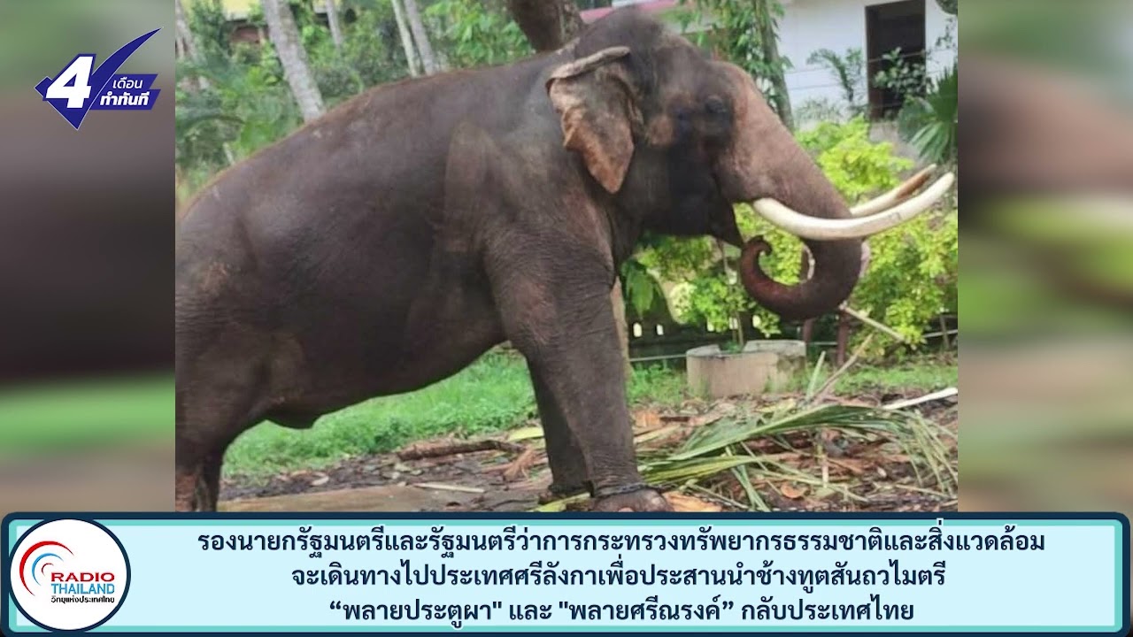 รองนายกฯ จะเดินทางไปประเทศศรีลังกาเพื่อประสานนำ“พลายประตูผา