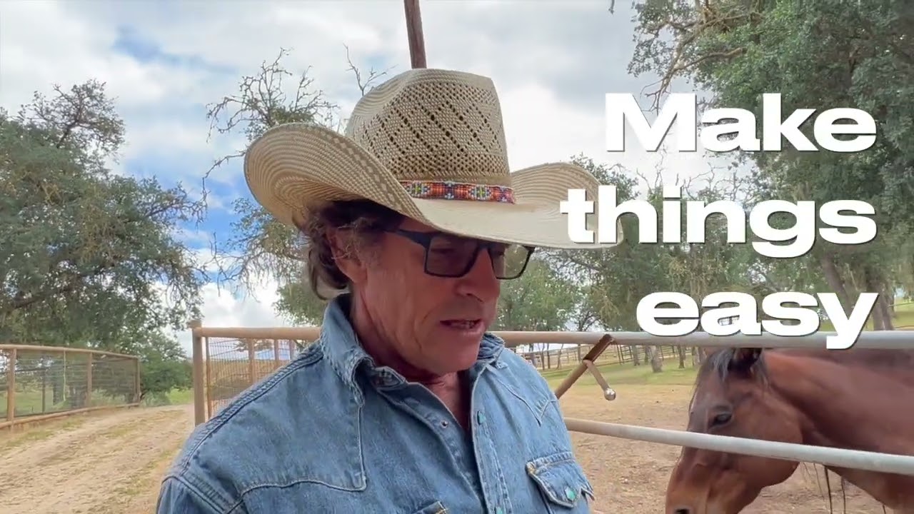 Stress free foal weaning using The Principles Of Training