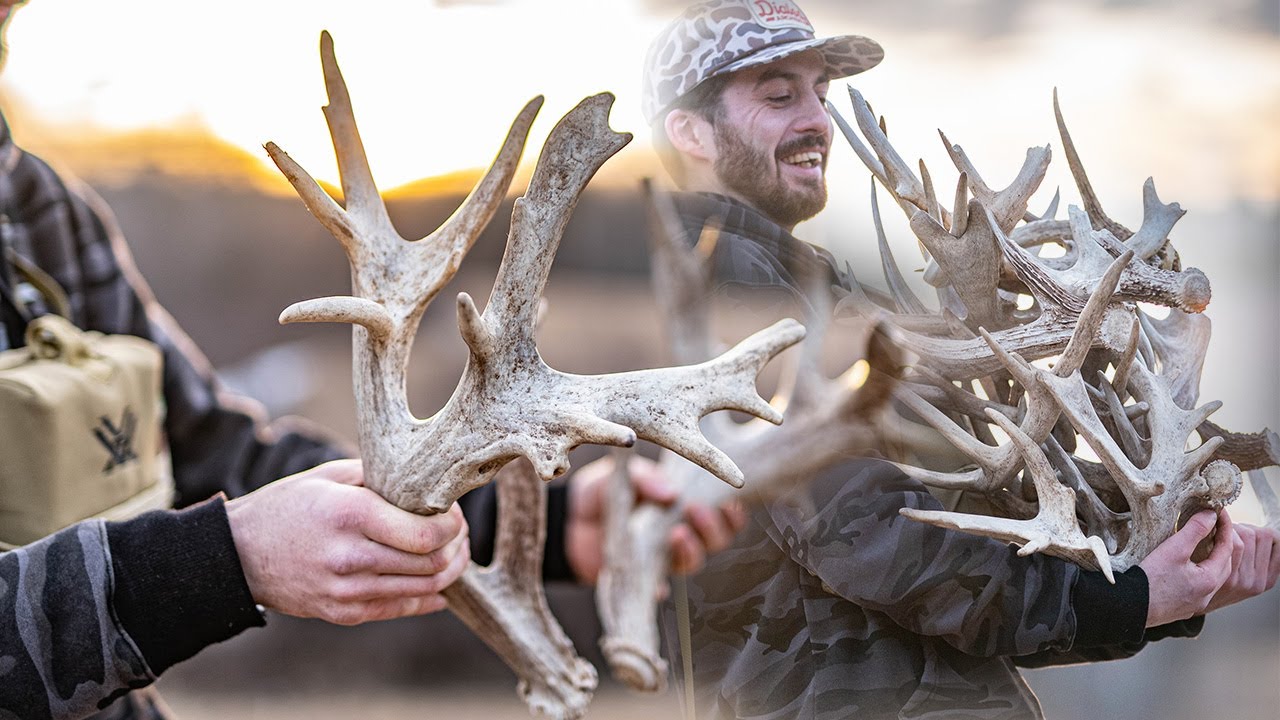 HIGH FENCE Shed Hunting | What's it REALLY Like?