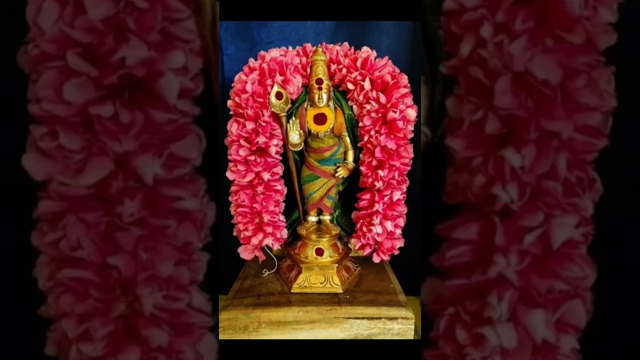 , 🙏🦚#om murga Om saravana bava Omsarvana bava 🙏🦚🦚🦚🙏🦚🦚🦚🦚🦚🦚🕉️🕉️🙏💜💜💜🙏🙏🔱💞💞🔥🔥🔥📿💯💚... #