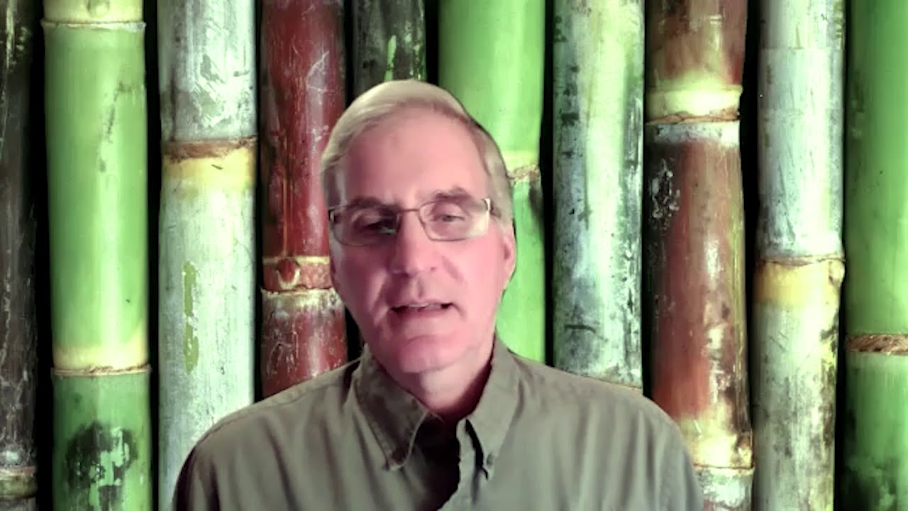 Producing Sugar Sustainably | Sugarcane Research at LSU