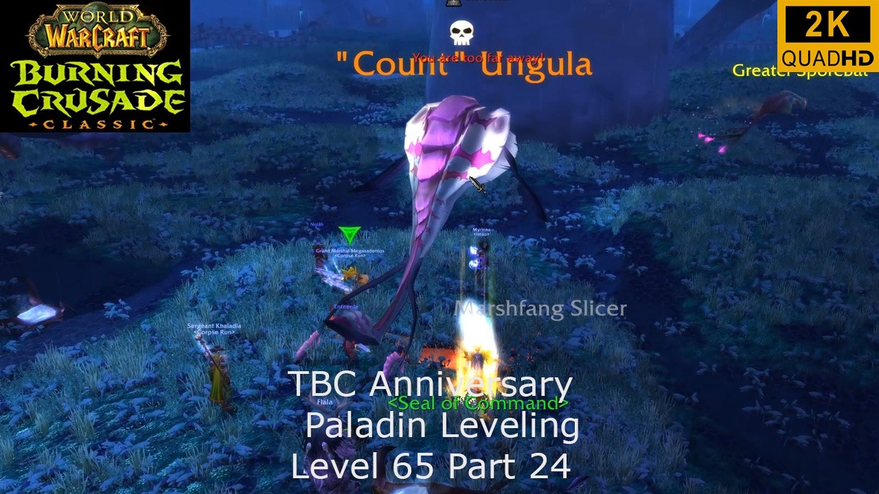 WoW TBC Anniversary | Paladin Leveling | Level 65 Part 24 | Retri Paladin PoV | No Commentary 2K