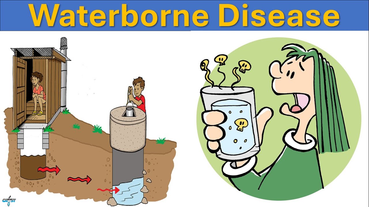 Waterborne diseases | Waterborne Pathogens | Public Health and Water Safety | Prevention & Control