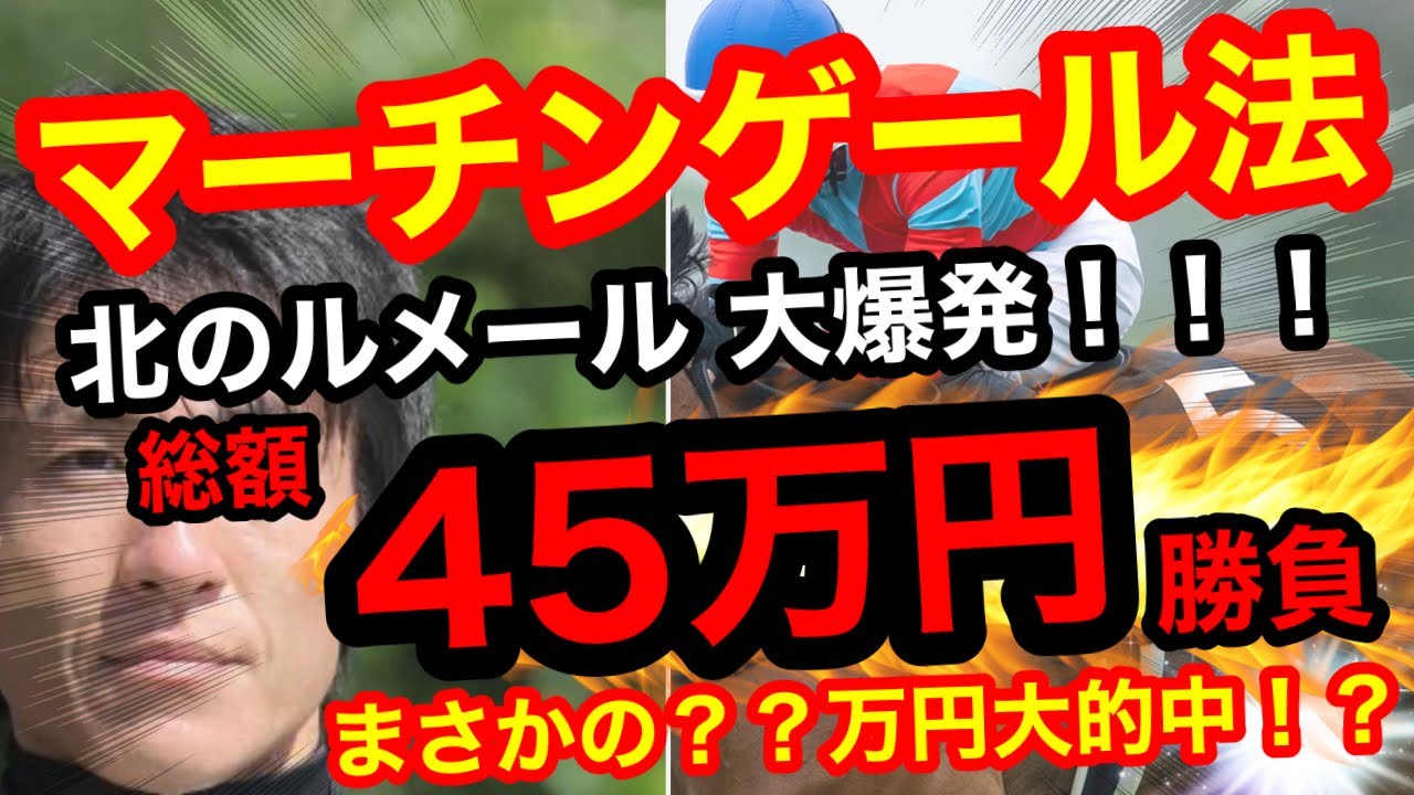 【マーチンゲール勝負】北のルメール丹内騎手を信じ続けた結果…函館で大爆発！（総額45万円勝負）【競馬馬券勝負】