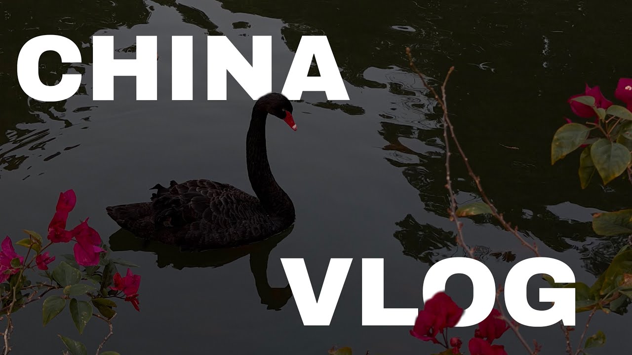 🇨🇳ПОЧЕМУ МЫ УЕХАЛИ ИЗ КИТАЯ ЧЕРЕЗ НЕДЕЛЮ? Я БОЛЬШЕ НЕ ПРИЕДУ В ГУАНЧЖОУ 