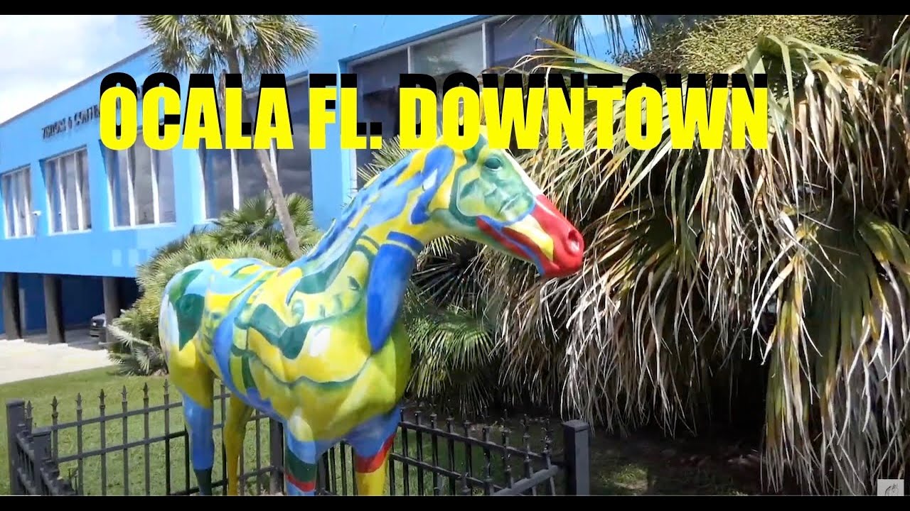Downtown Ocala, Florida: Historic City Tour & Local Vibe 🏛️🌳