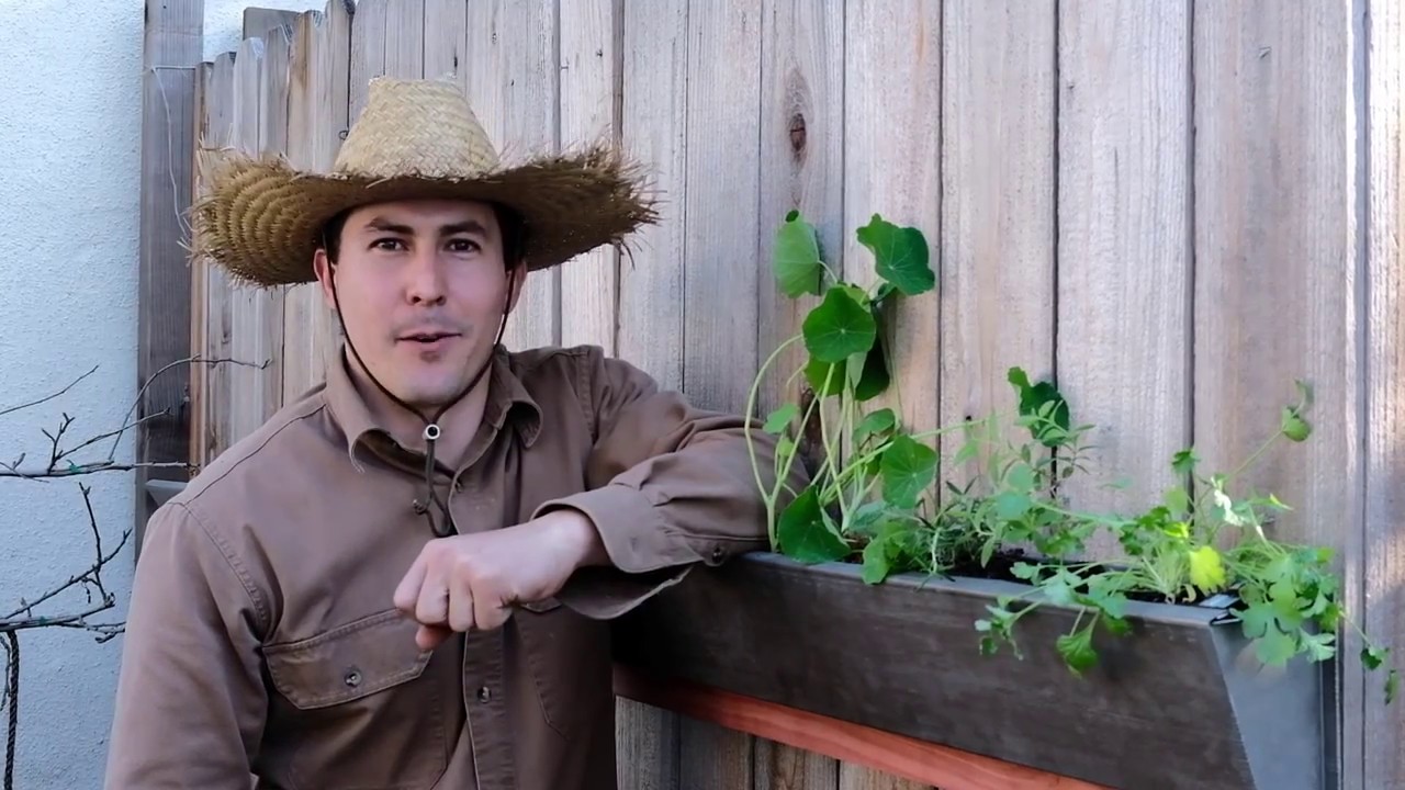 How to Build Rain Gutter Planters