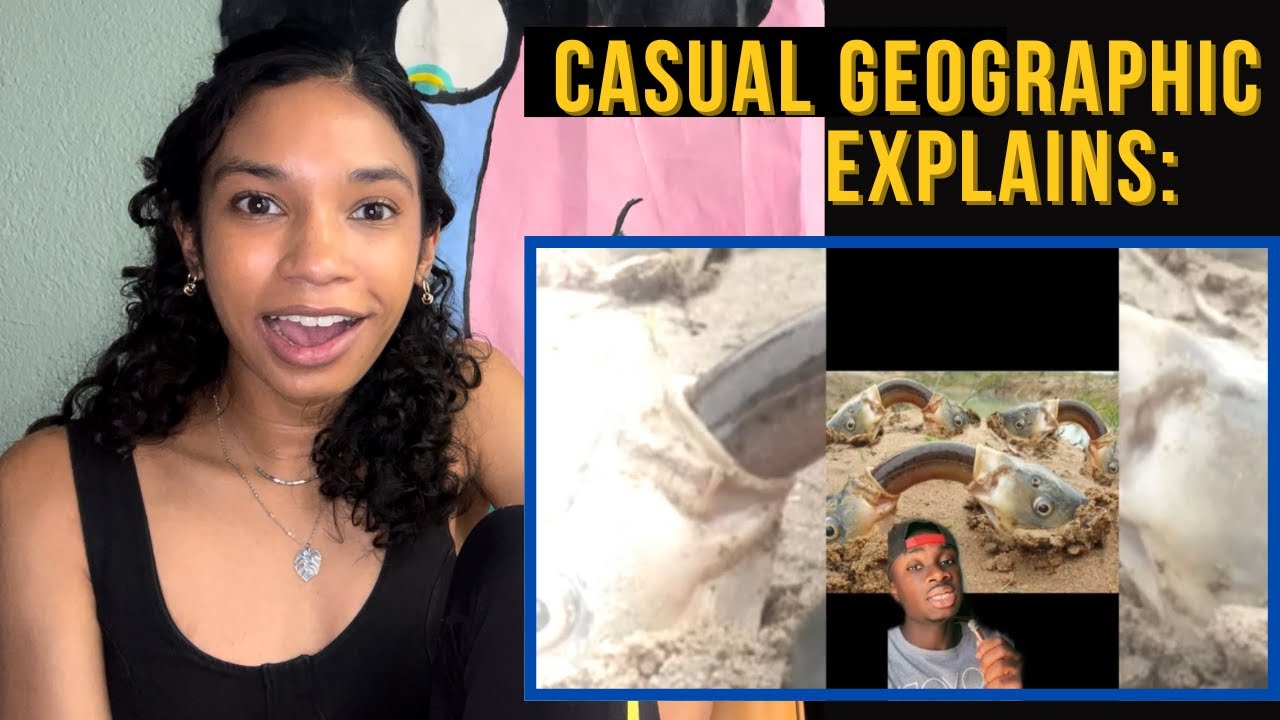 Casual Geographic объясняет... и это хуже, чем я думал