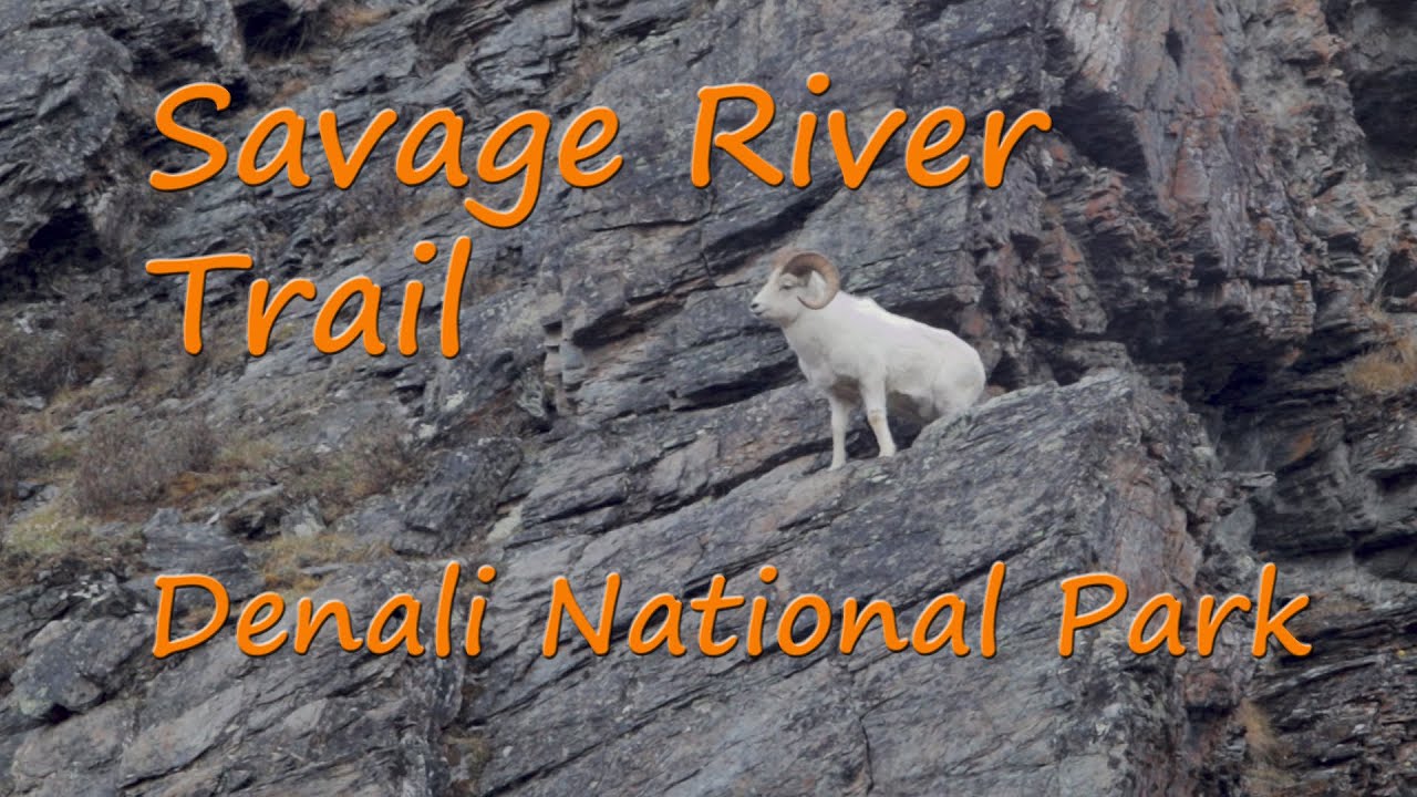 Savage River Trail, Denali NP, Alaska
