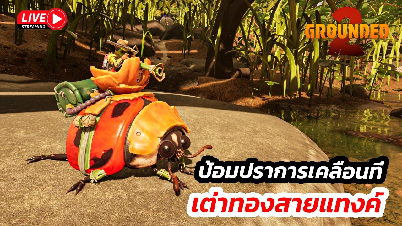 🔴 [LIVE] Grounded 2  SS2 - สายแทงเต่าทองมาแล้ว #grounded2