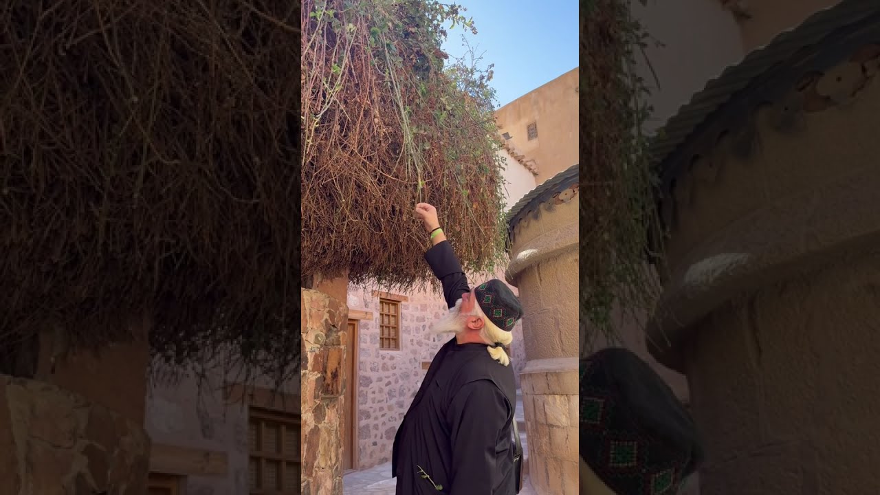 Interiorul MĂNĂSTIRII SFÂNTA ECATERINA DIN SINAI - 2026 - Pr. Calistrat