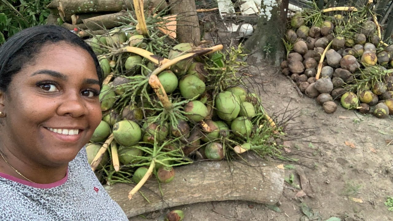 VLOG: MINHA ROTINA MORANDO NA ROÇA/ ORGANIZANDO AS PLANTAS/ FAXINA NA CASA DAS CREMOSAS