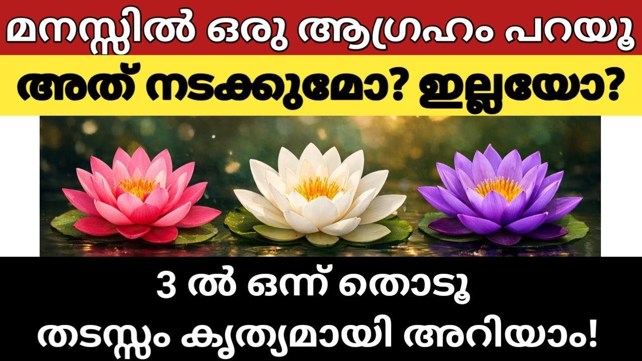 മനസ്സിൽ ഒരു ആഗ്രഹം പറയൂ,🌸3 താമരപ്പൂക്കളിൽ ഒന്ന് തിരഞ്ഞെടുക്കൂ| നിങ്ങളുടെ ഭാഗ്യം തുറക്കുമോ?|Thodukuri