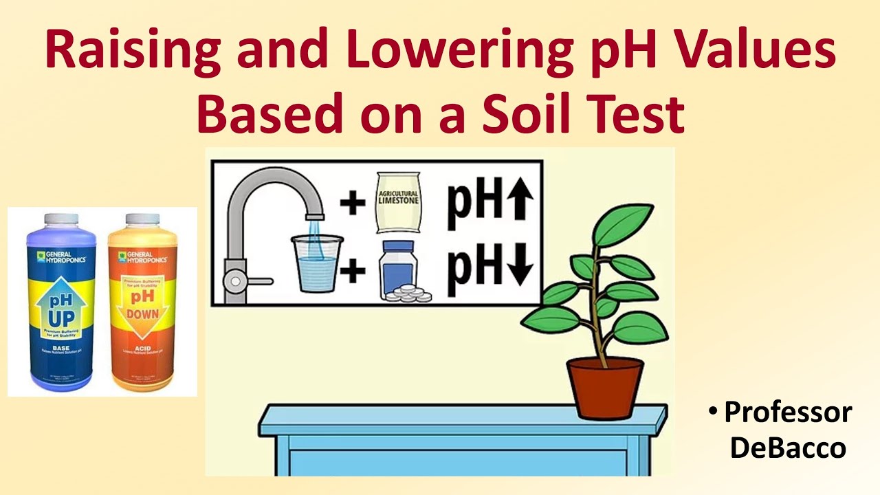 Raising and Lowering pH Values Based on a Soil Test