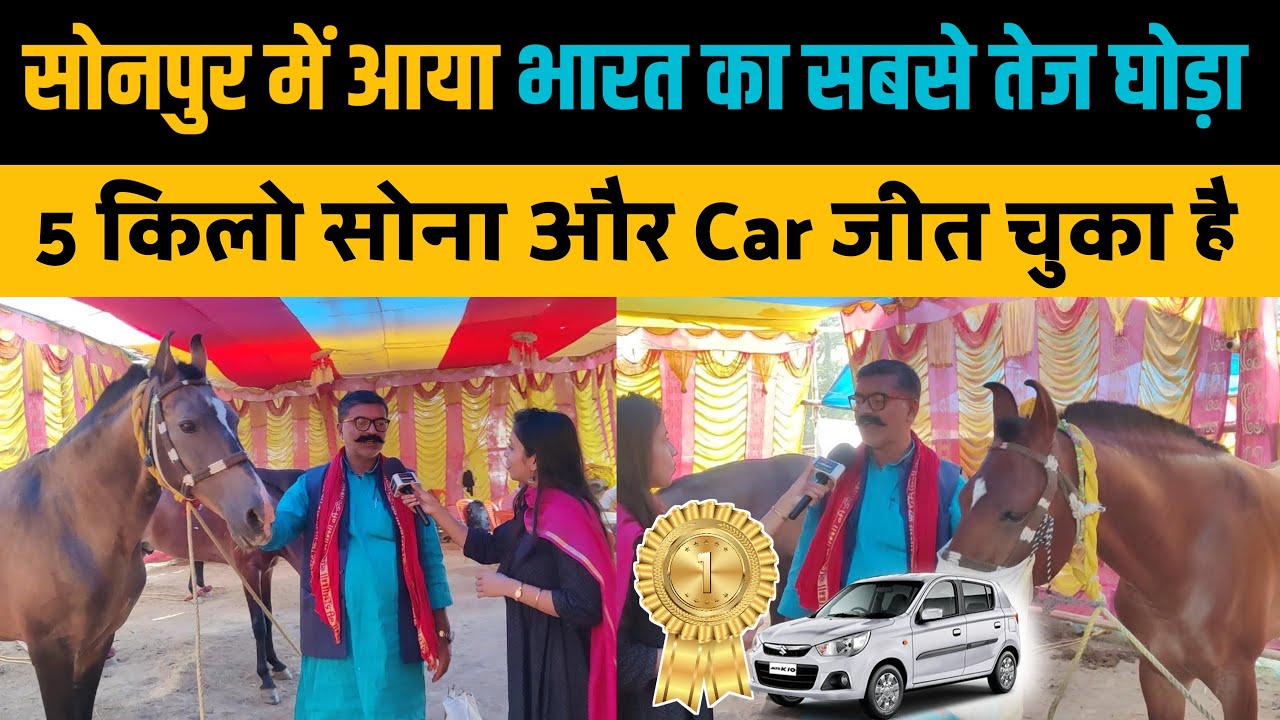भारत का सबसे तेज घोड़ा आया सोनपुर मेला। Sonpur Mela 2024। Sonpur Mela Horse। Sonepur Mela Animals