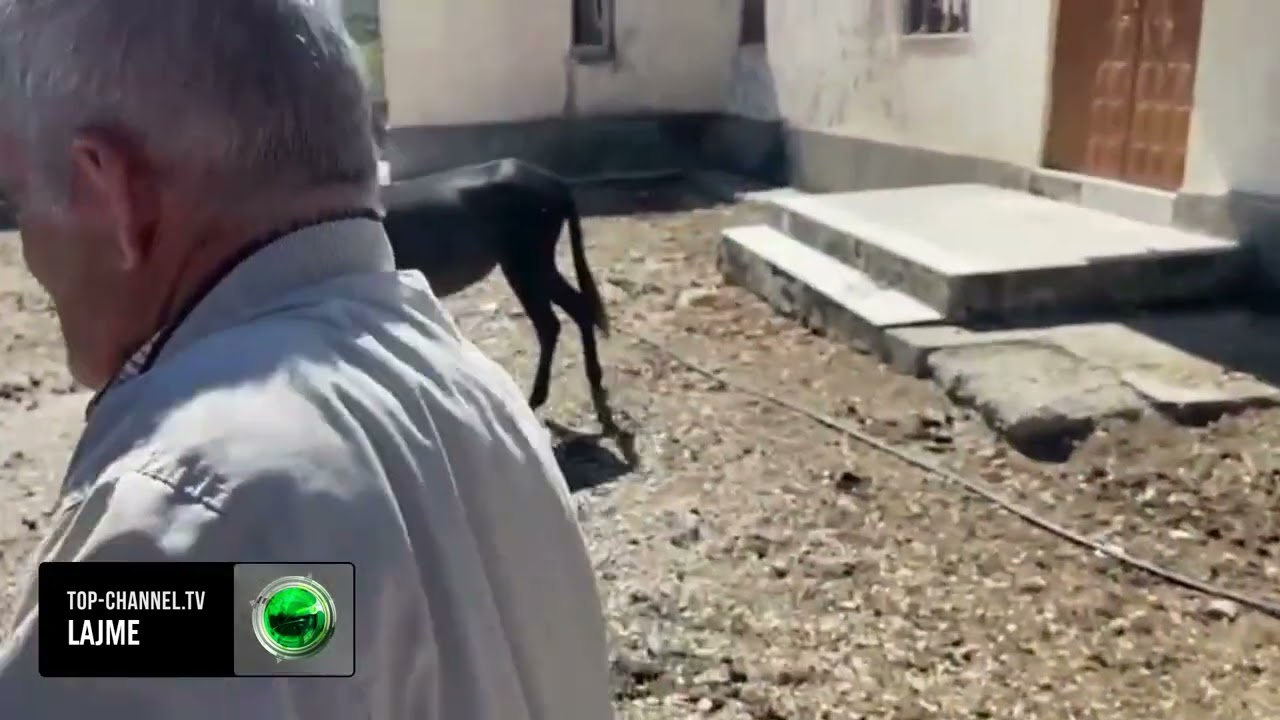 Top Channel/ Zjarri në banesë i merr jetën 85-vjeçarit në Lapardha, qiriu shkaktoi flakët fatale