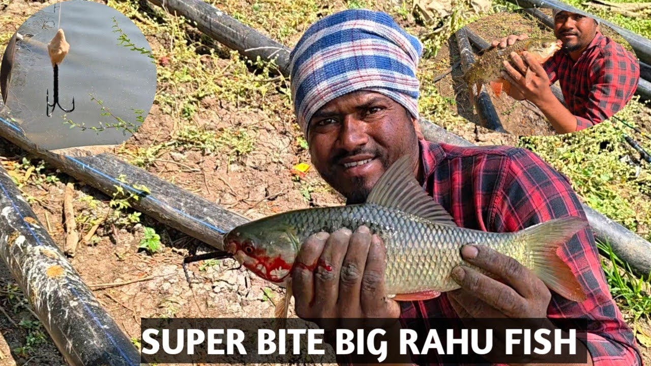 FLOAT FISHING. TRIPPLE HOOK FISHING.SUPER FISHING BITE. 