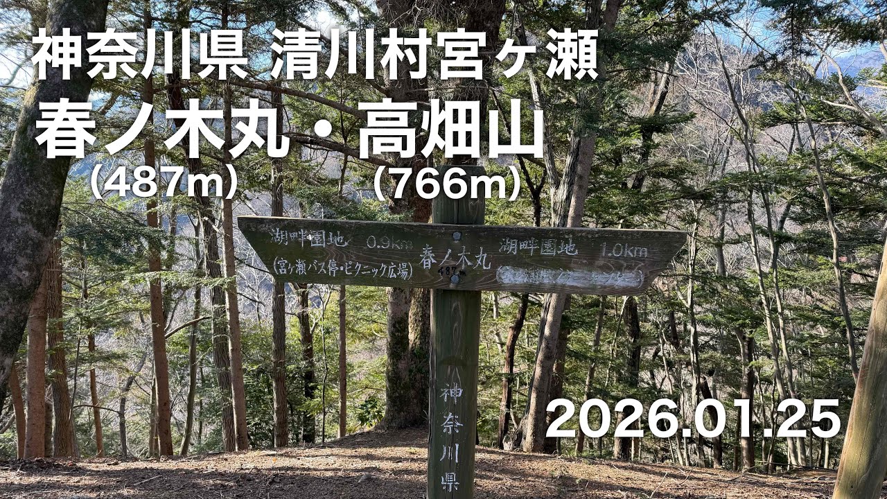 【ハイキング】 神奈川県清川村宮ヶ瀬 春ノ木丸・高畑山 2026.01.25
