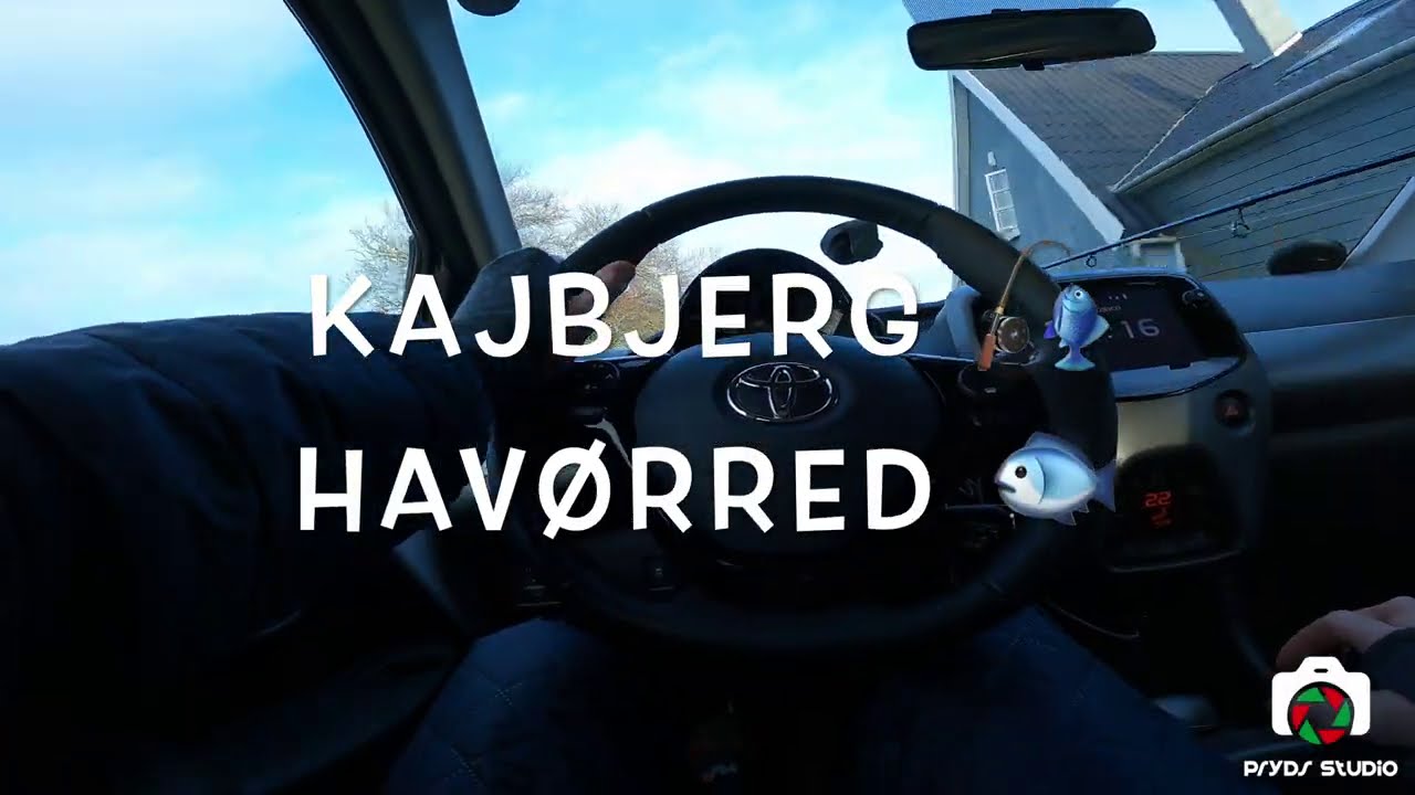 Kajbjerg Strand 🎣 På langt efter sølv 🐟 Havørred