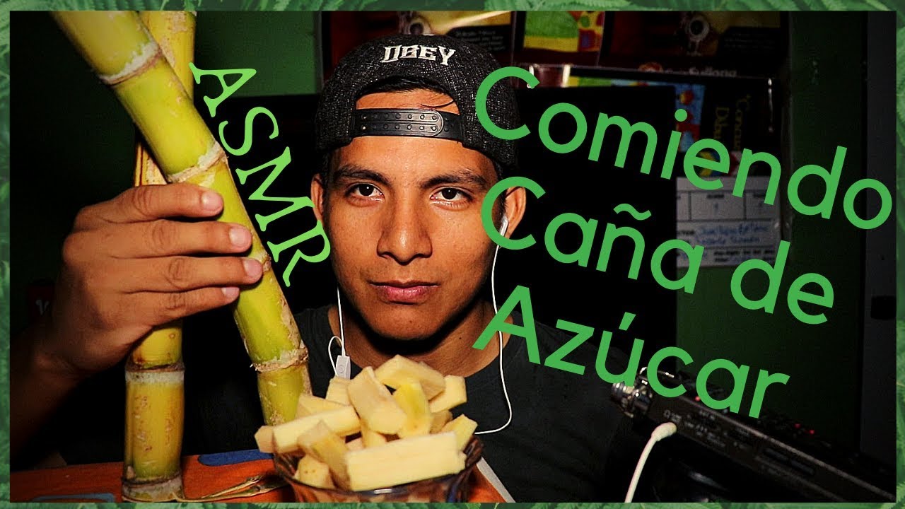 ASMR Masticando Caña De Azúcar (ASMR Chewing Sugar Cane)