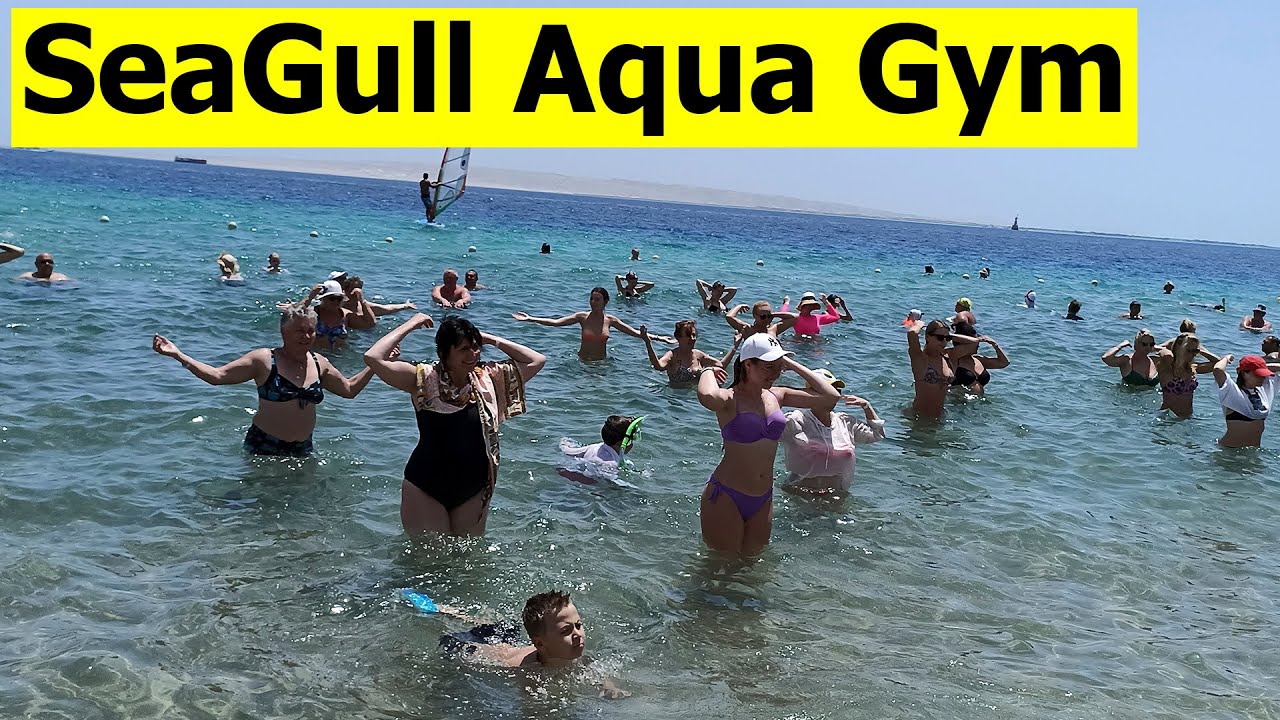 👙Культовое место! Аква-вечеринка в Хургаде | Заводила-Энергетик | Seagull Beach Resort
