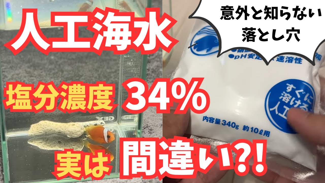 海水魚をボトルアクア！？こだわりの人工海水の塩分濃度とは？