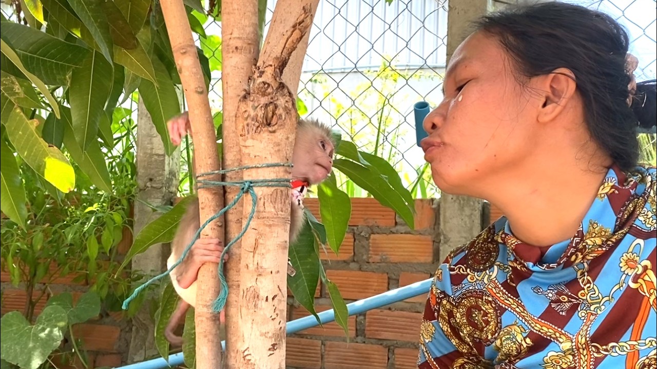 So Sweet!! The Cute baby LIORA is happily playing with her mom while she is preparing vegetables