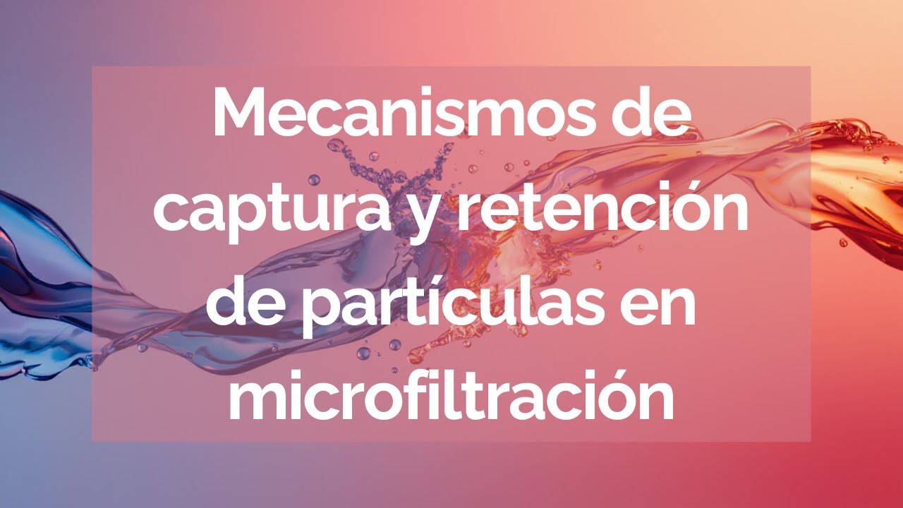 Video 2 | Mecanismos de captura y retenci&oacute;n de part&iacute;culas en microfiltraci&oacute;n
