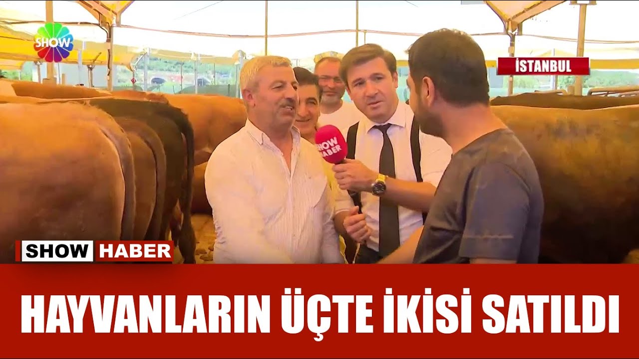 Kurban pazarlarında son durum