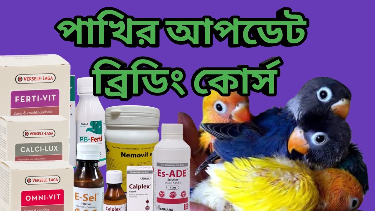 Update Breeding Formula for Birds in Bangla | Best Breeding Course Ever I Breading Tips I Medicine I