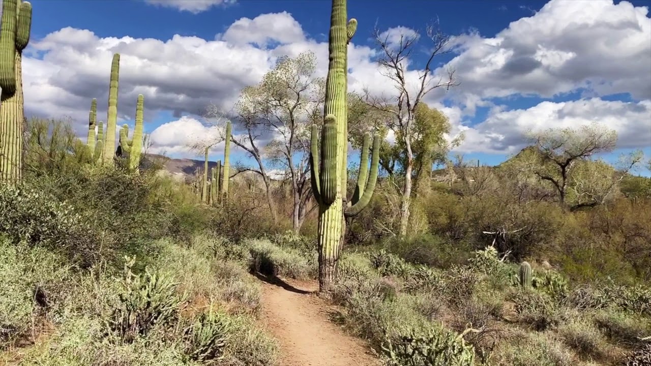 Power Hike at The Jewel of The Creek Virtual Hiking in Cave Creek, Arizona