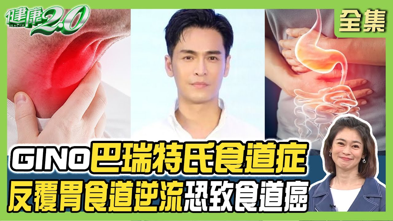 GINO 胃食道逆流 成巴瑞特氏食道症 ！保護胃黏膜 4大營養素這樣吃！健康2.0 20240921【完整版】鄭凱云 許秉毅 蔡駿逸 梁惠雯 劉怡里 雷議宗@tvbshealth20