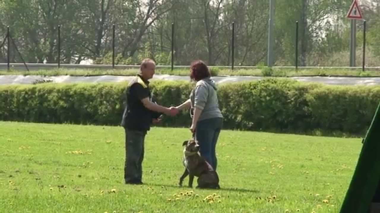 &Scaron;&aacute;rka zkou&scaron;ka SPr1