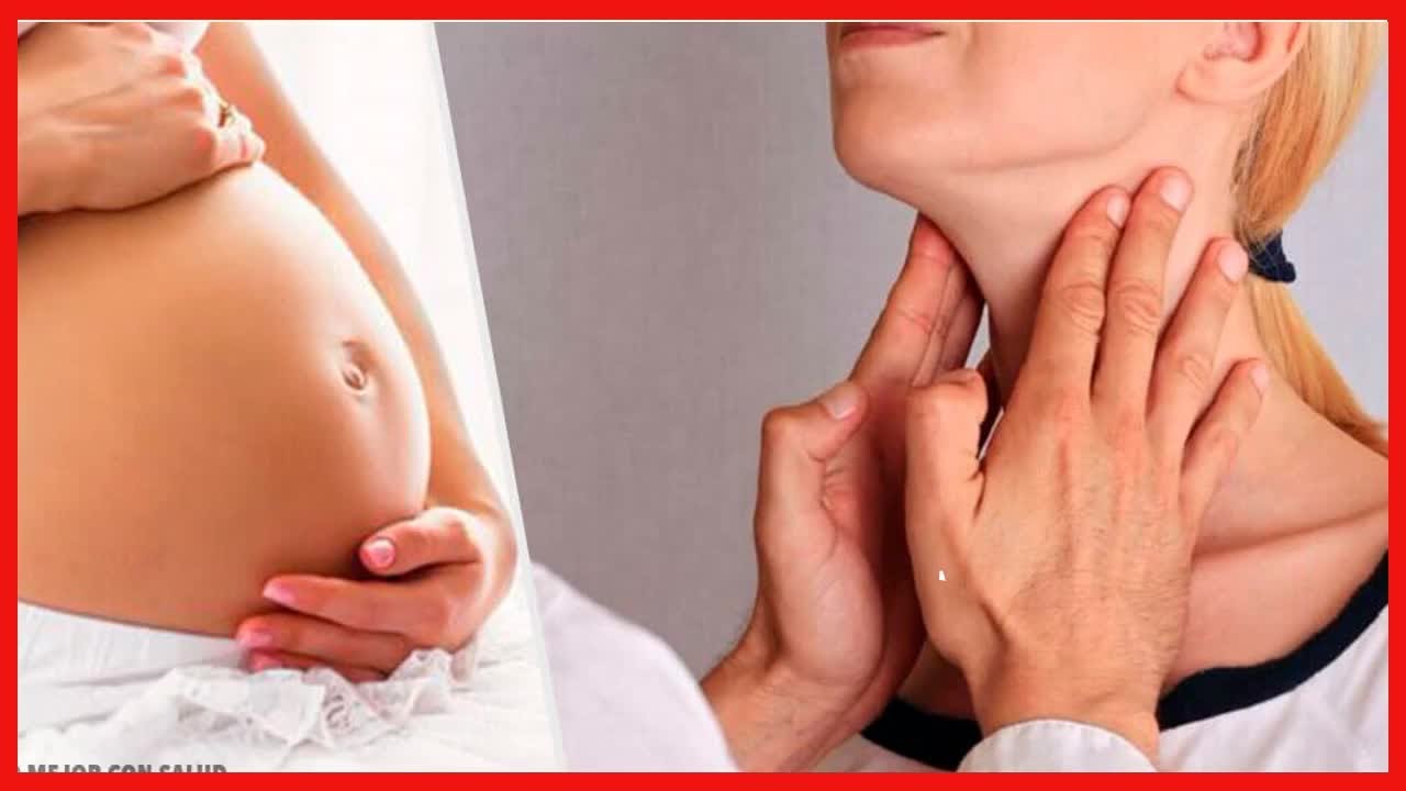 &iquest;Qu&eacute; es el sistema neuroendocrino?