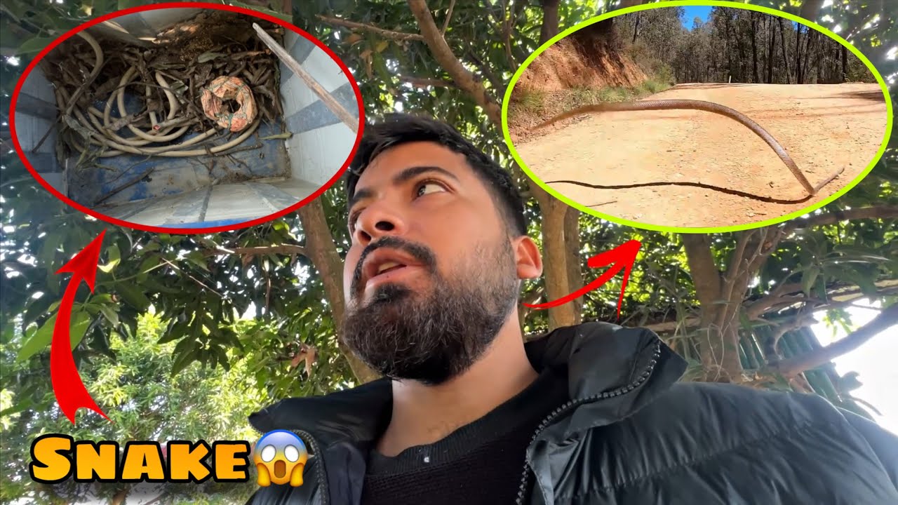 I Found a SNAKE in My House OMG😱 || Daily Vlog